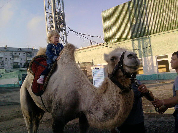 Мария Гецман