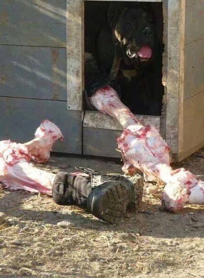 Юрий Агалаков