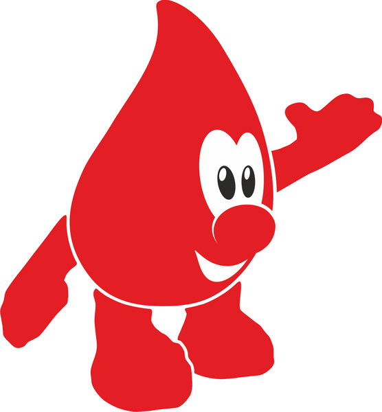 Екатерина Чиркова