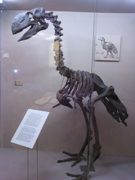 Татьяна Шильникова