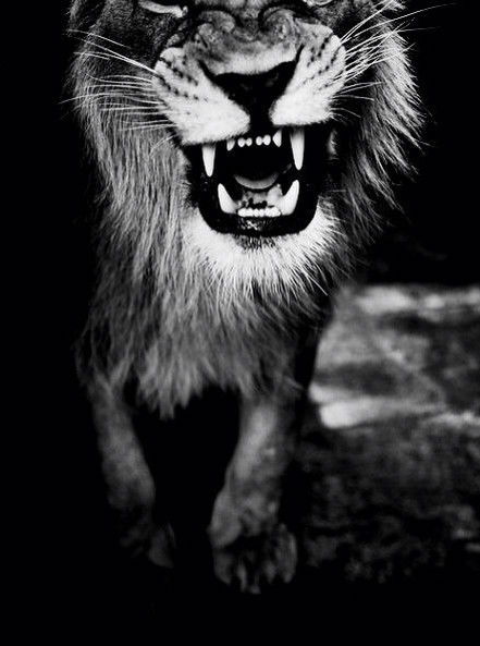 Екатерина Александрова