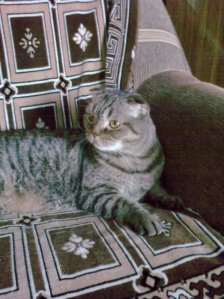 Татьяна Литвиненко