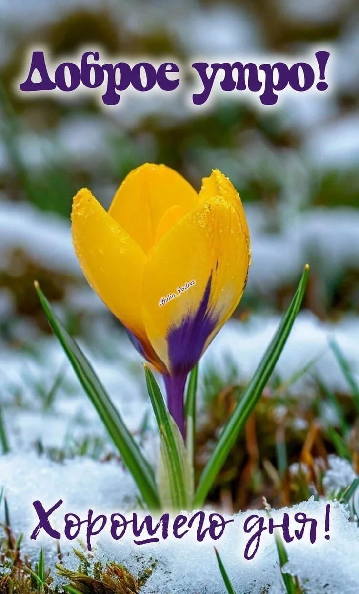 Константин