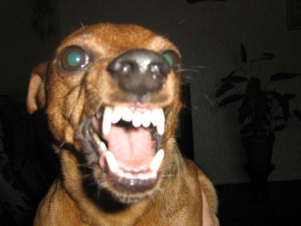 Владимир Гусев