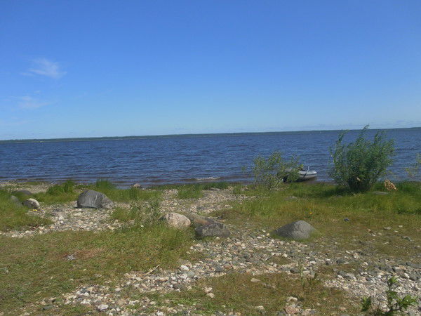 Михаил Давыдов