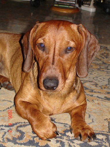 Юлия Вашурина