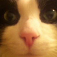 Катя Спицына