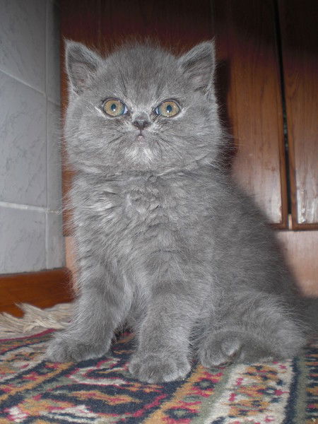 Наталья Паршакова