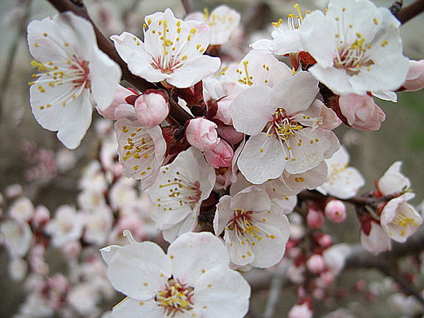 Гулдерай Аскаровна