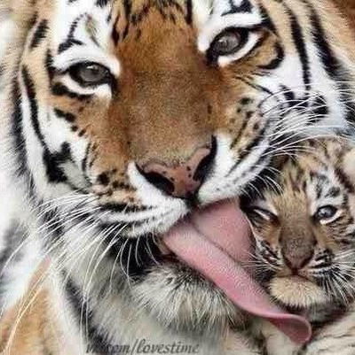 Анастасия Рожкова