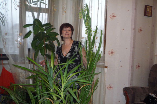 Наталья Звягинцева