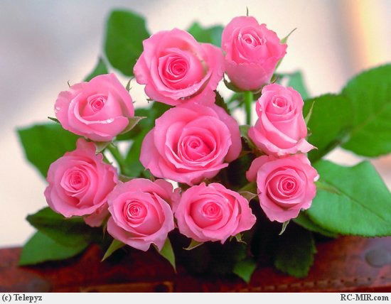 Динара Байгелова