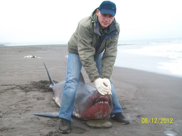 Сергей Федосеев