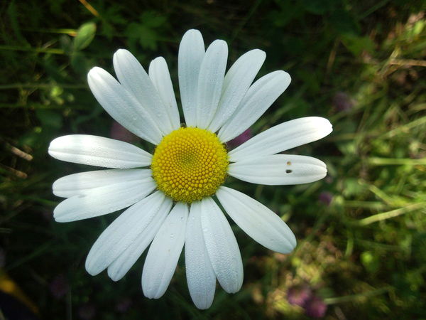 Наталия Фаринич