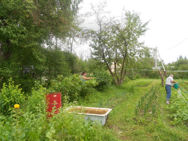 Андрей Старостин