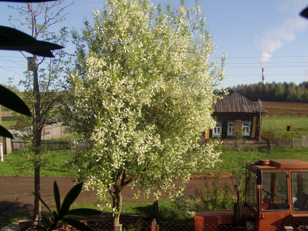 Неизвестно Неизвестно