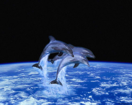 Анна Колесникова