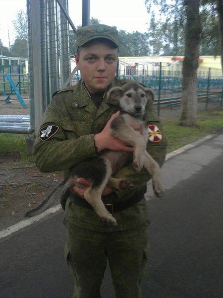 Никита Параев