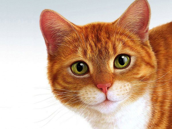 Мария Музюкина