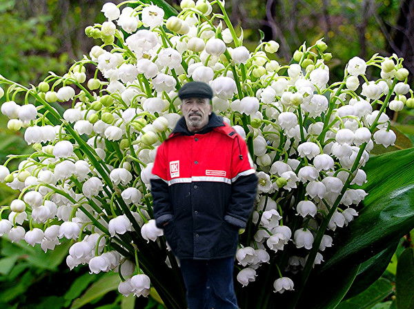 Сергей Ландышев