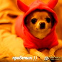 Евуся Землянко