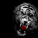 Аскер Теммоев