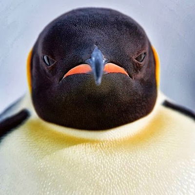 Олег Григорьев