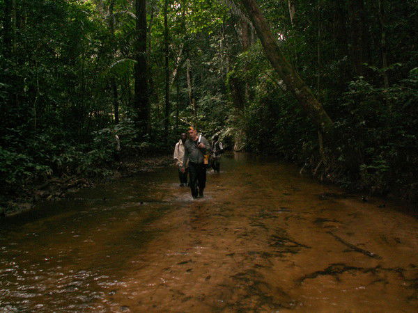 Ульянцев Николай
