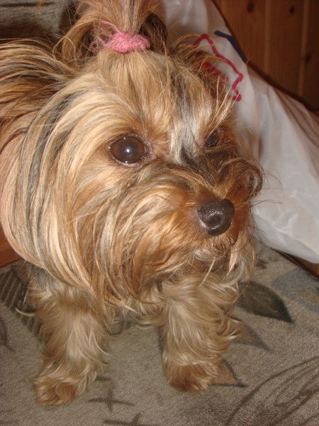 Ольга Лаврушкина