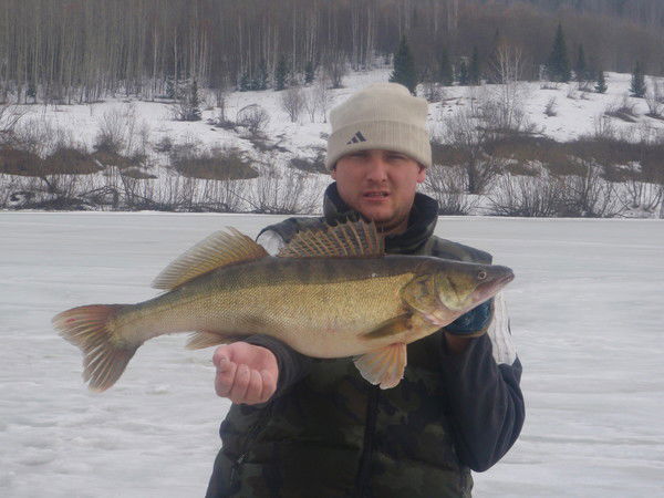 Сергей Веселовский