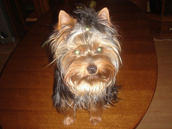 Вера Михеева