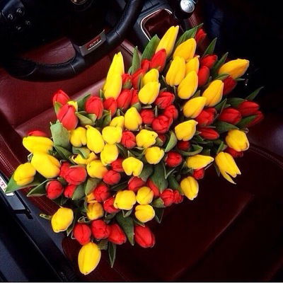 Сайда Инкарова