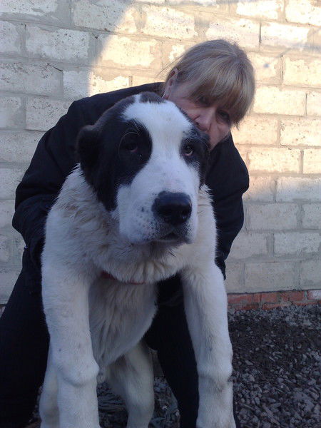 Татьяна Костенко