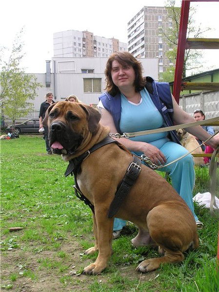 Гульнара Алиева