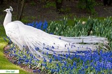 Игра Красок...