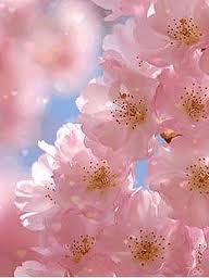 Карина Абрамян