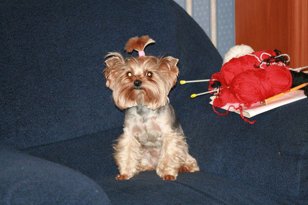 Марина Холина