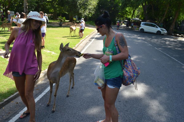 Марина Филимонова