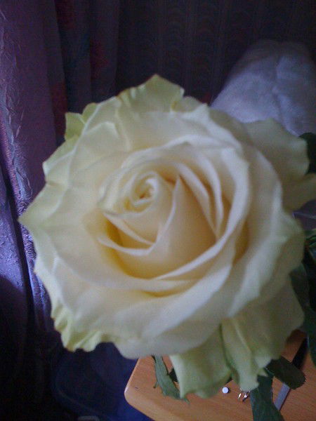 Марина Иголкина