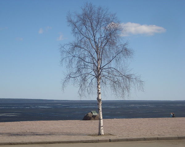 Валентина Минина