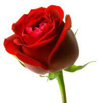 Ирина Ветнякова