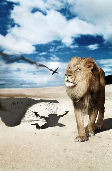 Рашид Абдуллаев