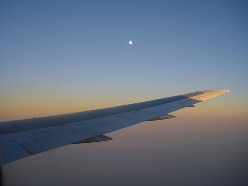 Александр Штефля