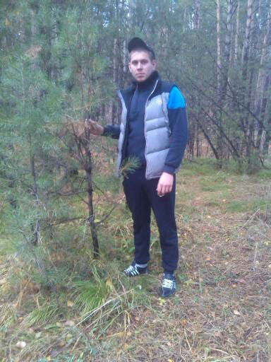 Дмитрий Голошевский