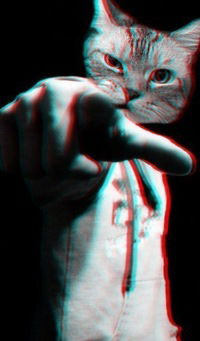 Вова Матейкович