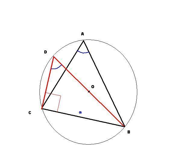 Алексей Новиков