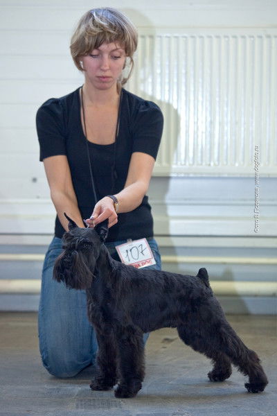 Александра Стыцюк