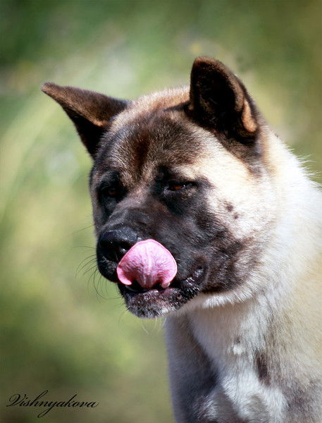 Лариса Сальникова