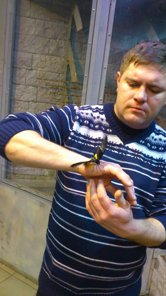 Алексей Вороненко