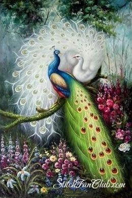 Гульжан Нурахунова